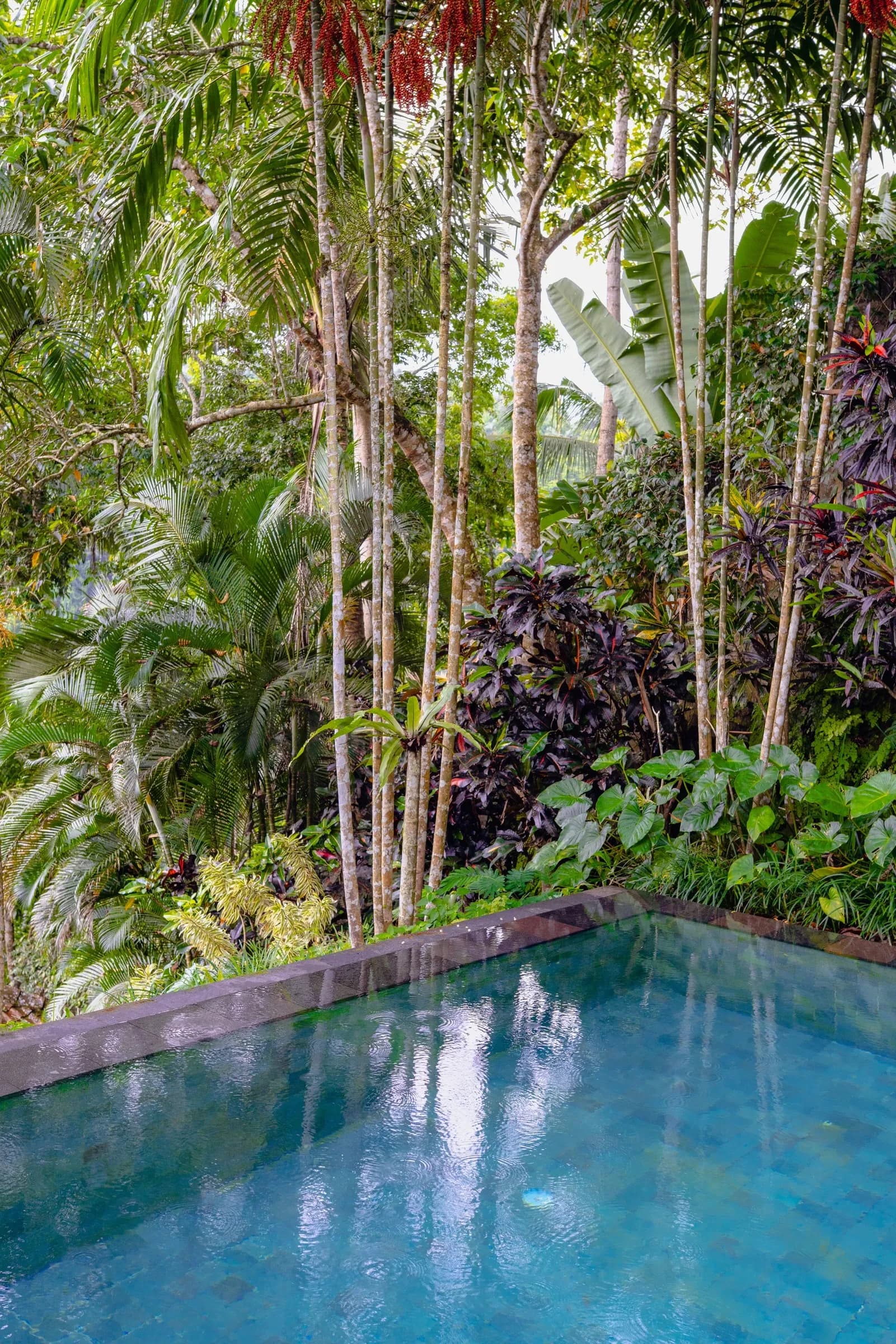 A private pool at the edge of dense Bali jungle