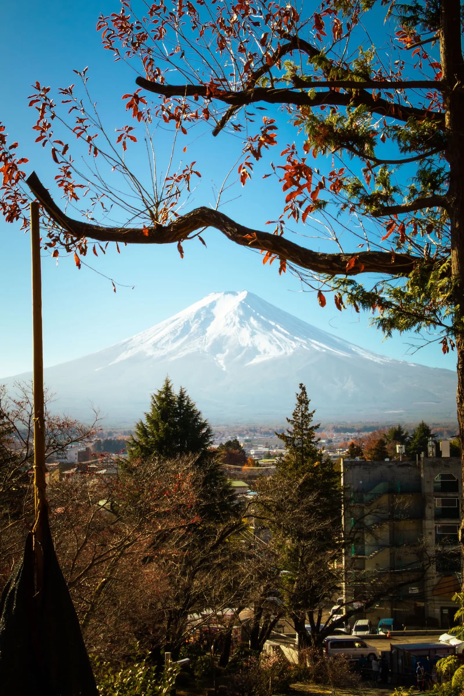 Mt Fuji framed by red autumn maple leaves
